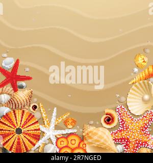 Shells and starfishes on sand background. Vector illustration. Stock Vector