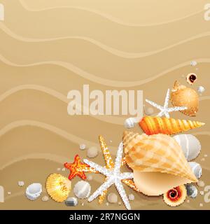 Conchiglie e stelle marine su fondo sabbioso. Illustrazione vettoriale. Illustrazione Vettoriale