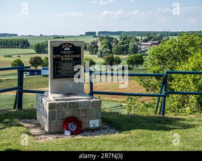 L'immagine è del famoso Butte de Warlencourt, combattuto duramente da inglesi e tedeschi durante la battaglia della somme nella prima guerra mondiale Foto Stock