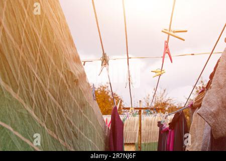 Sulla linea di lavaggio è appesa una spilla. Una corda con biancheria pulita e vestiti all'aperto il giorno della lavanderia. Sullo sfondo della natura verde Foto Stock