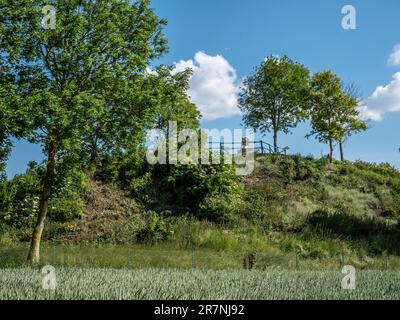 L'immagine è del famoso Butte de Warlencourt, combattuto duramente da inglesi e tedeschi durante la battaglia della somme nella prima guerra mondiale Foto Stock