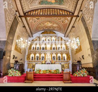 Cebu City, Cebu, Filippine-Gennaio 17 2023: L'altare d'oro, circondato da fiori freschi e tappeti rossi, è onorato con immagini iconiche di santi, angeli, Foto Stock
