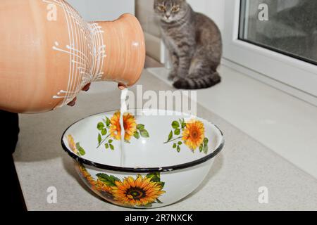 mano femmina che versa il latte da un vaso di ceramica in un recipiente di metallo. verniciato in smalto bianco, un primo piano bruno di terracotta. Foto Stock