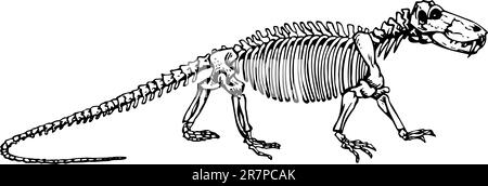 Scheletro di Titanophoneus isolato su bianco Illustrazione Vettoriale