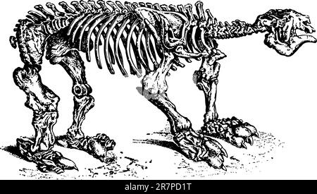 Scheletro animale isolato su bianco Illustrazione Vettoriale