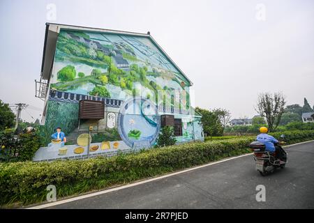 Huzhou. 16th giugno, 2023. Questa foto scattata il 16 giugno 2023 mostra una vista del villaggio di Quanyi nella città di Donglin, Huzhou, nella provincia di Zhejiang nella Cina orientale. Con il Green Rural Revival Program di Zhejiang, Donglin Town si è concentrata sulla costruzione di una splendida campagna basata sulle sue risorse culturali e naturali, facendo ogni sforzo per raggiungere uno sviluppo verde e sostenibile, mantenendo al contempo i guadagni economici. Credit: Xu Yu/Xinhua/Alamy Live News Foto Stock