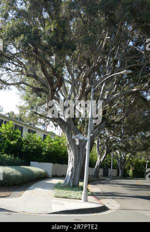 Beverly Hills, California, USA 16th Maggio 2023 Laurel Way il 17 Giugno 2023 a Beverly Hills, California, USA. Foto di Barry King/Alamy Stock Photo Foto Stock