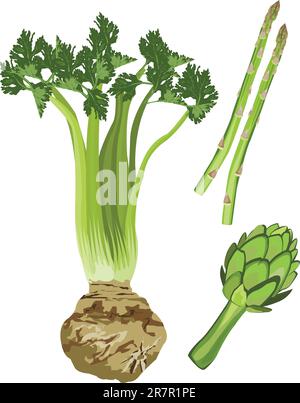 Clip-art di verdure verdi su sfondo bianco Illustrazione Vettoriale