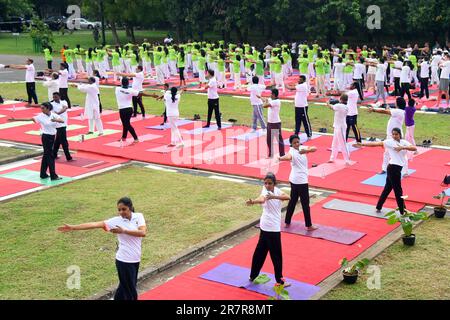 Colombo, Sri Lanka. 17th giugno, 2023. La gente esegue lo yoga per celebrare la prossima Giornata Internazionale dello Yoga, che cade il 21 giugno, a Colombo, Sri Lanka, 17 giugno 2023. Credit: Gayan Sameera/Xinhua/Alamy Live News Foto Stock