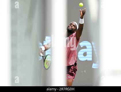 Stoccarda, Germania. 17th giugno, 2023. Tennis: ATP Tour - Stuttgart, Singles, Men, Semifinali. Tiafoe (USA) - Fucsovics (Ungheria). Frances Tiafoe in azione. Credit: Marijan Murat/dpa/Alamy Live News Foto Stock