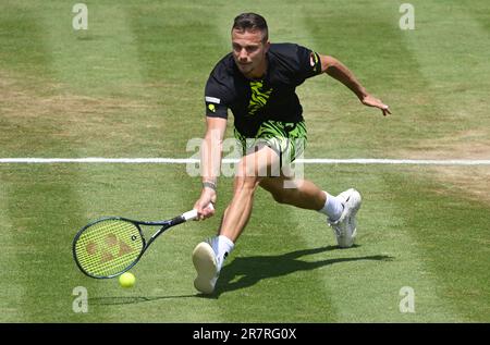 Stoccarda, Germania. 17th giugno, 2023. Tennis: ATP Tour - Stuttgart, Singles, Men, Semifinali. Tiafoe (USA) - Fucsovics (Ungheria). Marton Fucsovics in azione. Credit: Marijan Murat/dpa/Alamy Live News Foto Stock