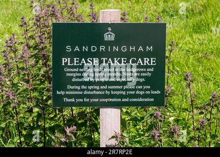 Un cartello sulla tenuta di Sandringham avverte di uccelli nidificanti in erpici e margini di campo e chiede alle persone di tenere i cani sulle derivazioni. Foto Stock