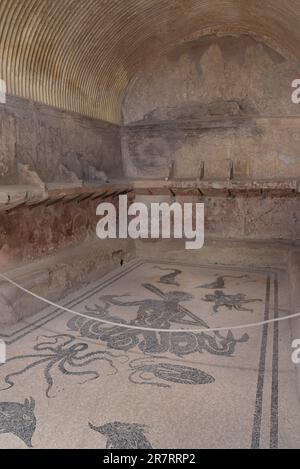 Bagno a mosaico la città romana di Ercolano, sepolta nell'eruzione vesuviana dell'AD79, Ercolano, Napoli, Italia Foto Stock