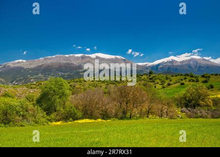 Massiccio del Monte Olimpo, freschezza primaverile, vista da SW, vicino al villaggio di Kallithea, regione della Tessaglia, Grecia Foto Stock