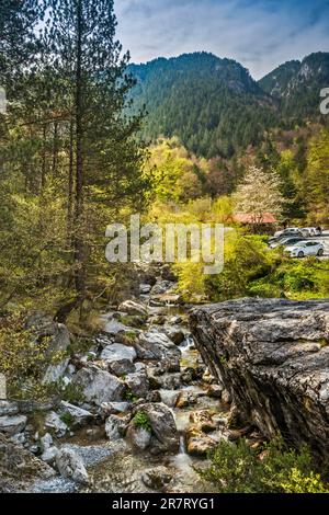 Torrente Karagiani, area di Prionia, Parco Nazionale del Monte Olimpo, regione della Macedonia Centrale, Grecia Foto Stock