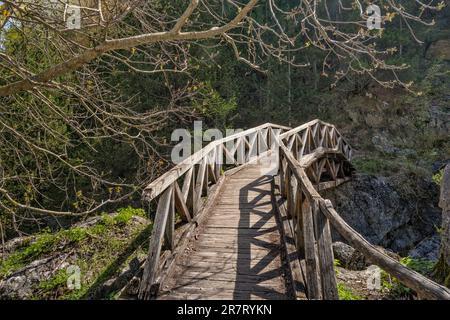 Ponte pedonale in legno su E4 sentiero sul torrente Karagiani, primavera, area di Prionia, Parco Nazionale del Monte Olympus, regione della Macedonia centrale, Grecia Foto Stock