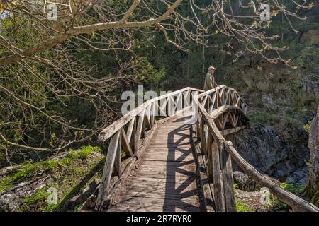Escursionista su ponte pedonale in legno su E4 sentiero sul torrente Karagiani, all'inizio della primavera, zona di Prionia, Parco Nazionale del Monte Olimpo, Macedonia Centrale, Grecia Foto Stock
