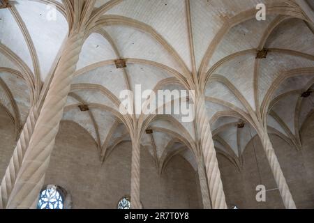 Interno della Lonja de Palma de Mallorca, Spagna Foto Stock