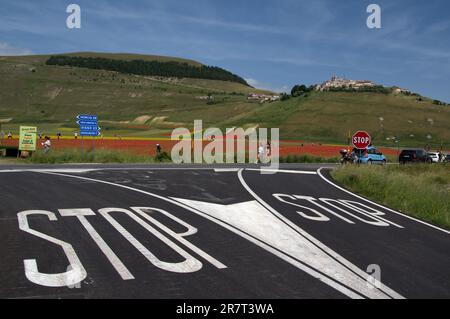 veduta del paesino di Castelluccio sopra la piana fiorita Foto Stock