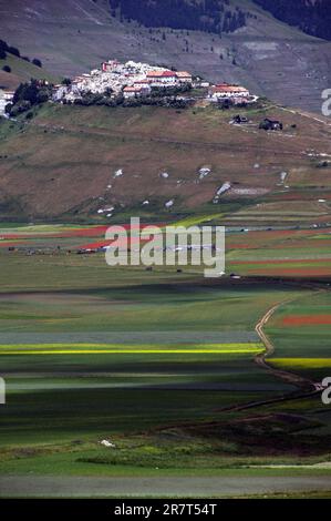 veduta del paesino di Castelluccio sopra la piana fiorita Foto Stock