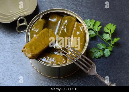 Lattina con foglie di vite farcite, ripieno di riso, Grecia Foto Stock