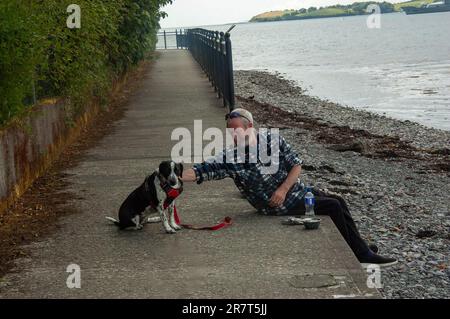 Bantry, West Cork, Irlanda, sabato 17 giugno 2023; Oggi il sole era fuori a Bantry con temperature che raggiungevano i 26 gradi celsius. Posie, un mix di collie, gode l'ombra lungo la passeggiata Beicin con il proprietario John o'Shea mantenere la sua idratata. Credito; ed/Alamy Live News Foto Stock