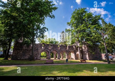 Rovina della Chiesa di nostra Signora, Loburg, Sassonia-Anhalt, Germania Foto Stock