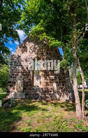 Rovina della Chiesa di nostra Signora, Loburg, Sassonia-Anhalt, Germania Foto Stock