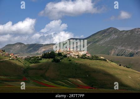 veduta del paesino di Castelluccio sopra la piana fiorita Foto Stock