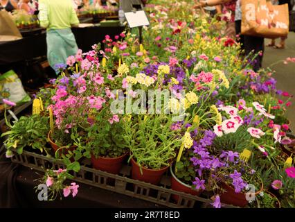 BBC Gardens, Birmingham, Regno Unito 2023 Foto Stock