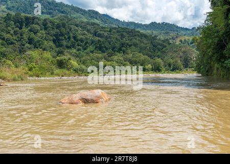 Il fiume Alas vicino al villaggio Ketambe su Sumatra è il fiume più lungo della provincia Ache e Nord Sumatra, passa attraverso Gunung Laher Foto Stock