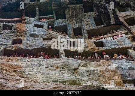 Tombe rupestri e gallerie di Tau Tau nella ripida parete rocciosa del luogo di sepoltura di Lemo in Tana Toraja su Sulawesi. Il Tau Tau simboleggia il Foto Stock