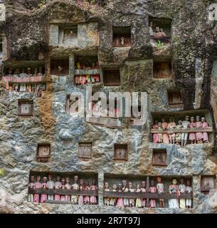 Tombe rupestri e gallerie di Tau Tau nella ripida parete rocciosa del luogo di sepoltura di Lemo in Tana Toraja su Sulawesi. Il Tau Tau simboleggia il Foto Stock