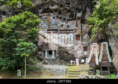 Tombe rupestri e gallerie di Tau Tau nella ripida parete rocciosa del luogo di sepoltura di Lemo in Tana Toraja su Sulawesi. Il Tau Tau simboleggia il Foto Stock