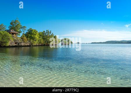 Scogliere, rocce e isolotti ricoperti da arbusti e alberi sempreverdi di fronte all'Isola Togia Batudaka nel Golfo di Tomini a Sulawesi. Le isole sono Foto Stock