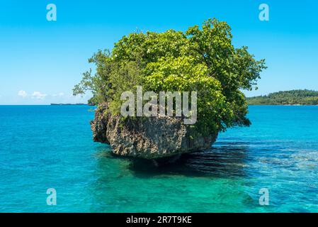 Scogliere, rocce e isolotti ricoperti da arbusti e alberi sempreverdi di fronte all'Isola Togia Batudaka nel Golfo di Tomini a Sulawesi. Le isole sono Foto Stock