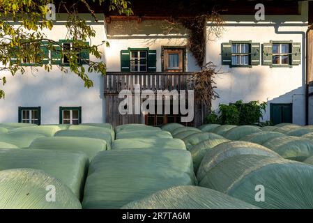 Balla insilata completamente avvolta dietro un casale a Ettenberg nella contea di Berchtesgaden. Il fieno viene utilizzato per l'alimentazione invernale dell'allevamento di bovini Foto Stock