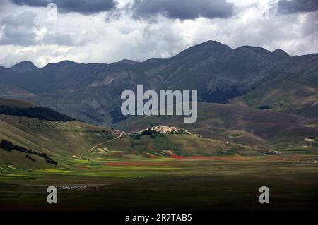 veduta del paesino di Castelluccio sopra la piana fiorita Foto Stock