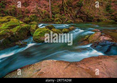 Le rapide nella parte inferiore del Pruem vicino Irrel in Eifel, Germania. Le cascate Irrel del Pruem Foto Stock