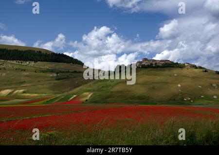 veduta del paesino di Castelluccio sopra la piana fiorita Foto Stock