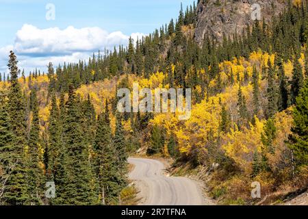 L'autunno nella Columbia Britannica settentrionale è pieno di toni gialli luminosi. Portato fuori da Atlin in autunno, settembre. Foto Stock