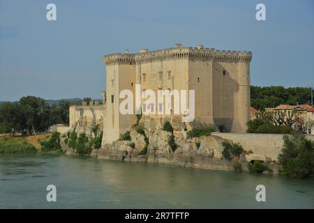 Storico Chateau du roi Rene costruito 15th ° secolo, sul fiume Rodano, Tarascon, castello, fortificazione, Bouches-du-Rhone, Provenza, Francia Foto Stock