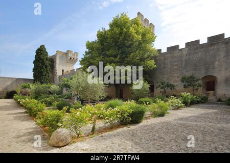 Cortile dello storico Chateau du roi Rene costruito 15th ° secolo, Tarascon, castello, giardino, fortificazione, Bouches-du-Rhone, Provenza, Francia Foto Stock