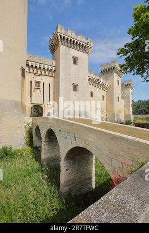 Storico Chateau du roi Rene costruito 15th ° secolo con ponte arco in pietra e fossato, Tarascon, castello, fortificazione, ponte ad arco, Bocche del Rodano Foto Stock