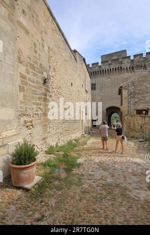 Cortile del forte storico Saint-Andre, Villeneuve, St, Avignone, fortificazione della città, Wall, Vaucluse, Provenza, Francia Foto Stock