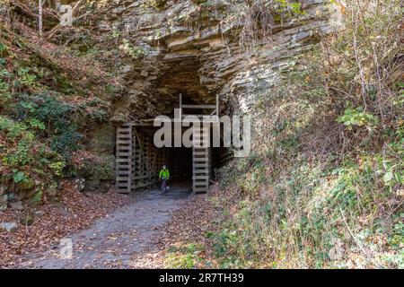 Martinton, West Virginia, John West, 75, esce dal tunnel di Droop Mountain sul Greenbrier River Trail. Il percorso ferroviario di 78 km corre lungo il Foto Stock