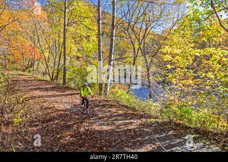 Martinton, West Virginia, John West, 75, guida la sua bicicletta sul Greenbrier River Trail. Il percorso ferroviario di 78 km corre lungo il fiume Greenbrier. Ora Foto Stock