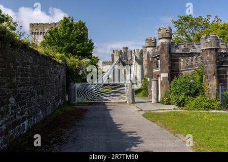 Pont Grog, Suspension Bridge, Conwy, Galles, Gran Bretagna Foto Stock