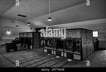 Inceneritore di crematori, ex campo di concentramento della foresta di faggi, oggi memoriale, bianco e nero, Weimar, Turingia, Germania Foto Stock