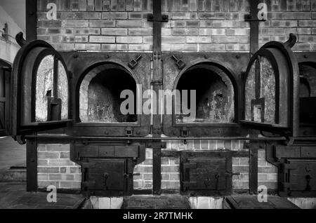 Inceneritore di crematori, ex campo di concentramento della foresta di faggi, oggi memoriale, bianco e nero, Weimar, Turingia, Germania Foto Stock